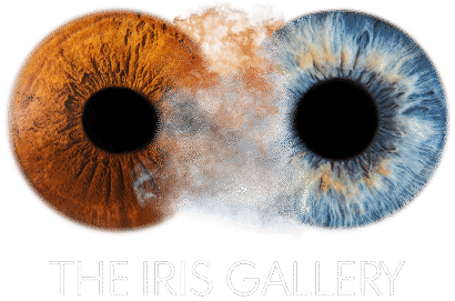 Gallery item