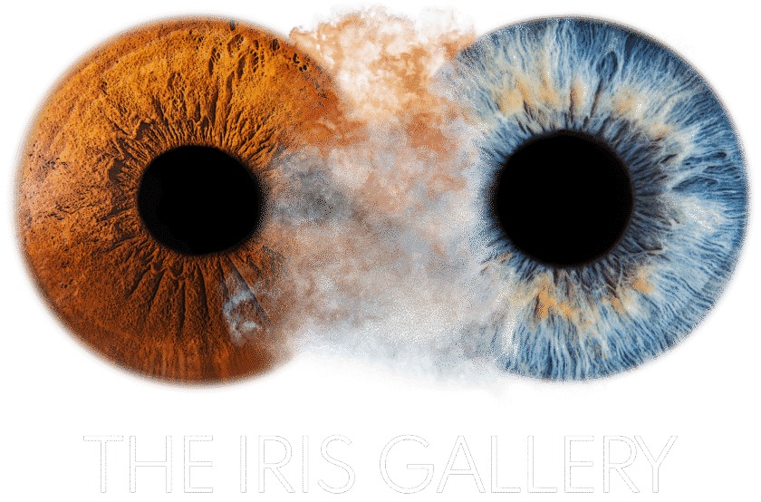 Gallery item
