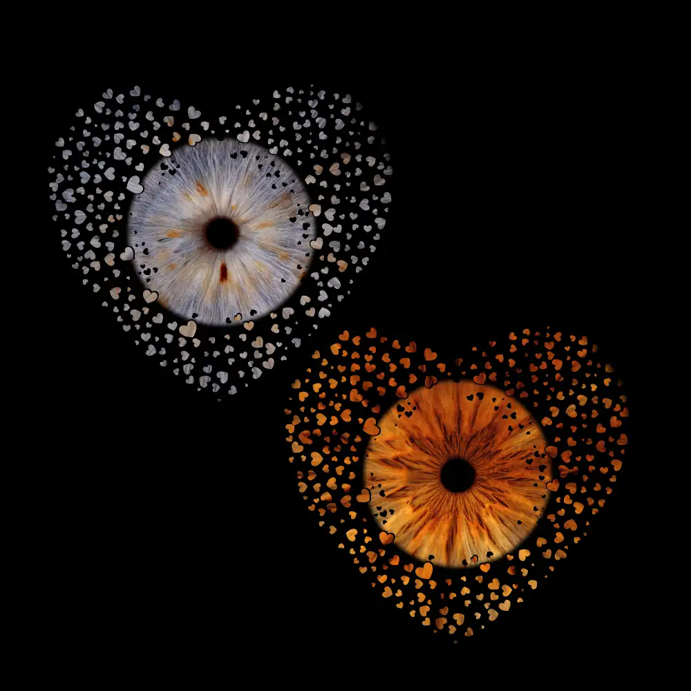 Lucrare cu doi iriși — Two Hearts