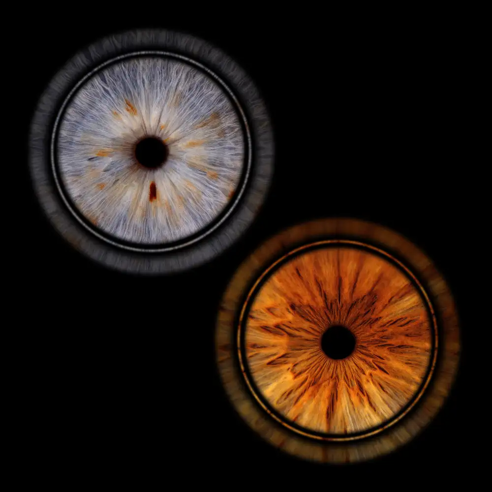 Doi iriși — Rings