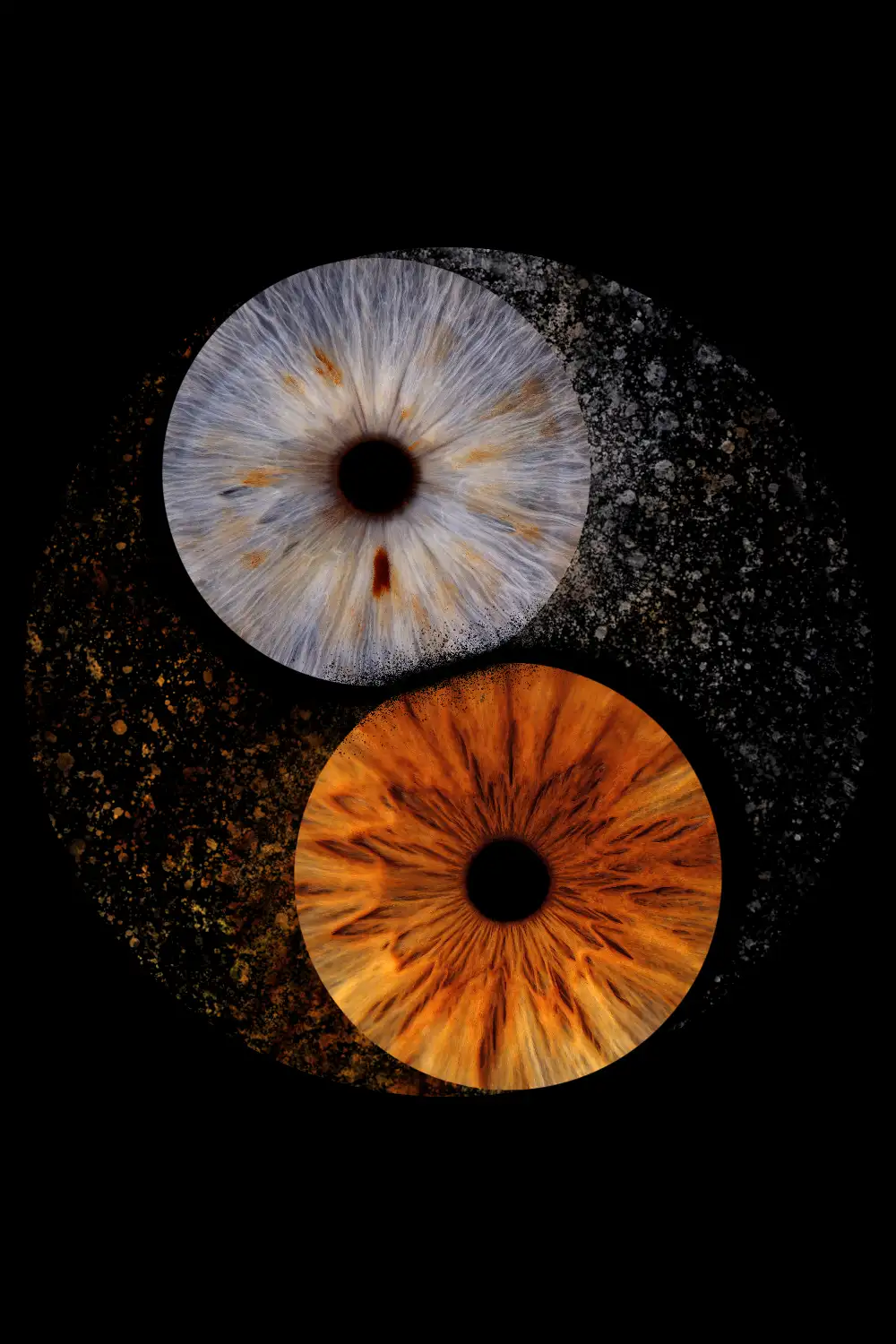 Doi iriși — Ying-Yang