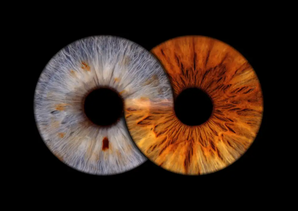 Doi iriși — Infinity