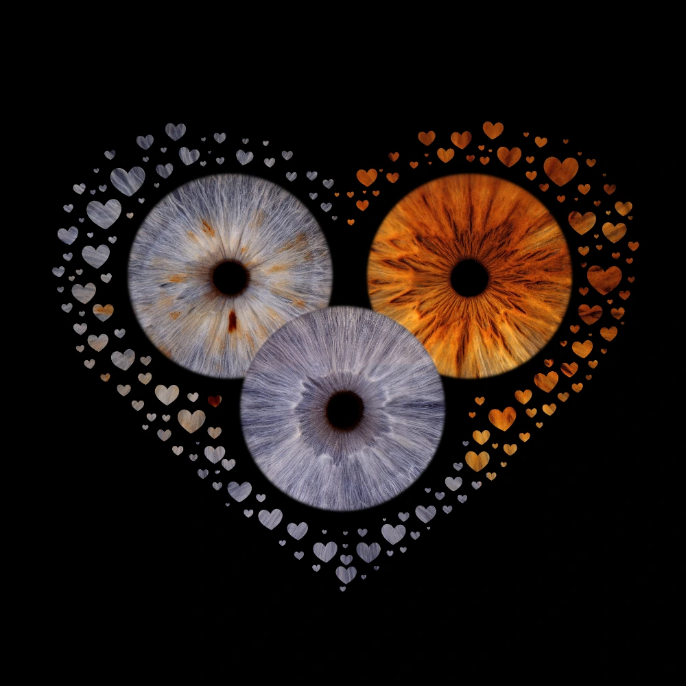 Lucrare cu trei iriși — Triple Heart