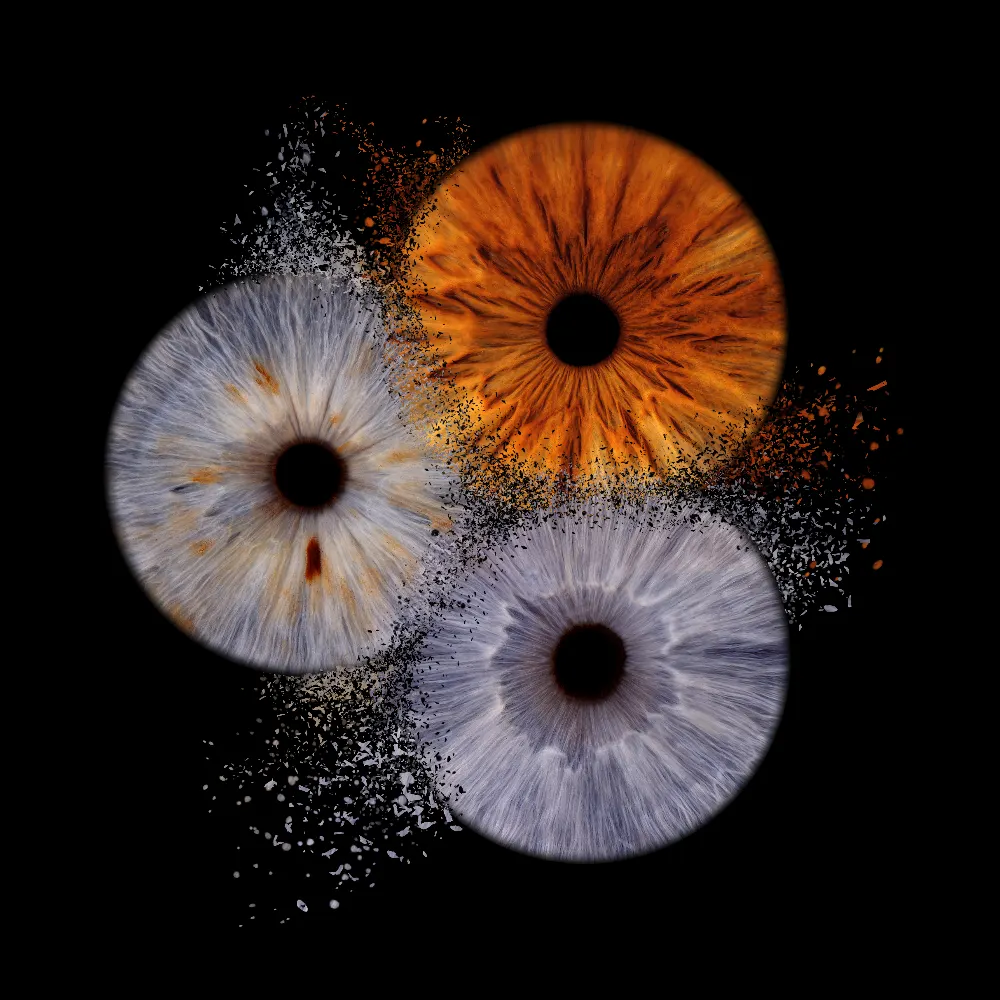 Trei iriși — Collision