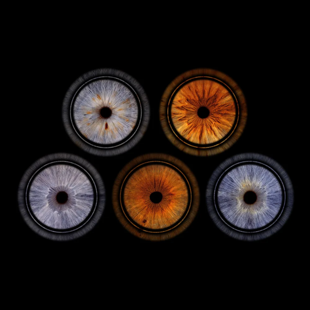 Cinci iriși — Rings stacked