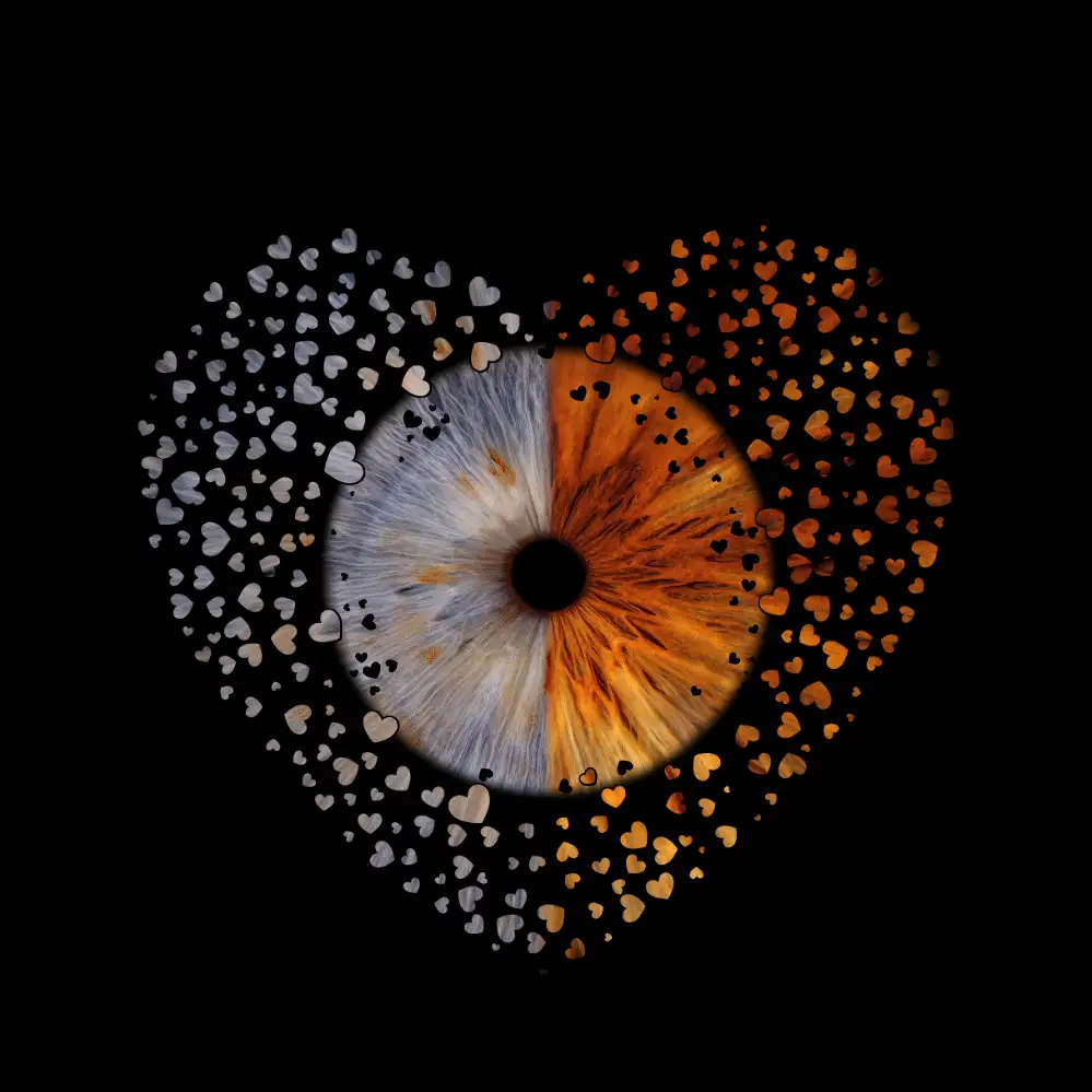 Doi iriși — Heart of Hearts