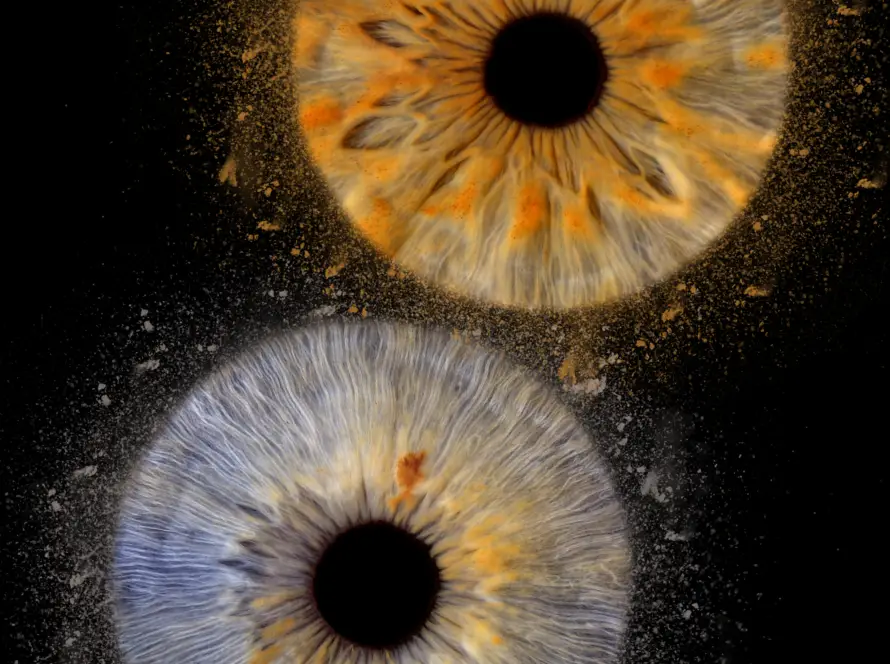 Tablou Digital Iris Gallery